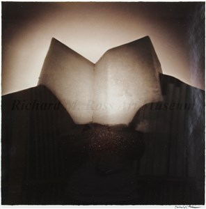 Image description is not available for 2007.105